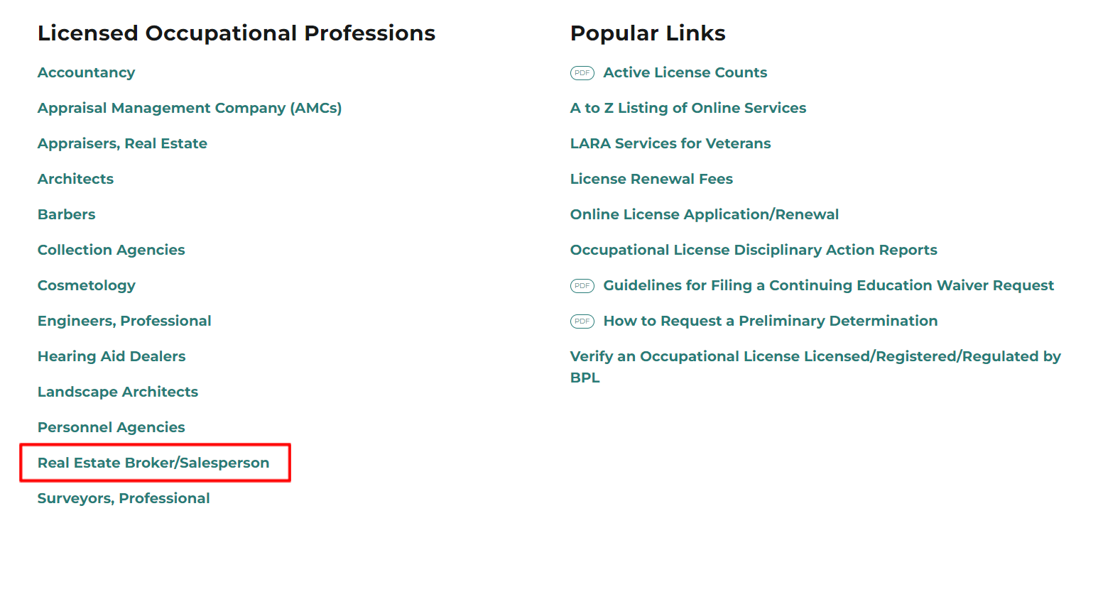 The ‘Real Estate Broker/Salesperson’ link on the Michigan Licensing and Regulatory Affairs